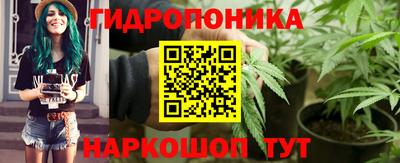 гидра Заволжье