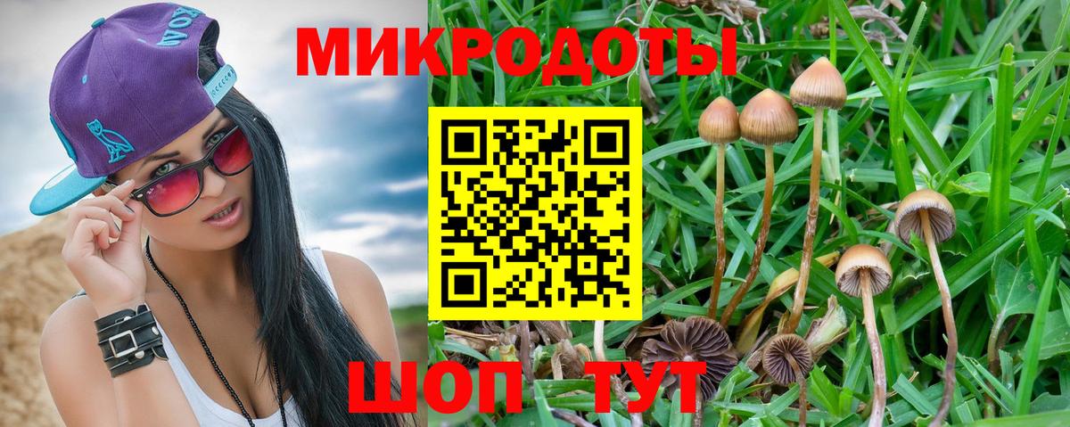 Галлюциногенные грибы мухоморы  Вход с VPN  Псилоцибиновые грибы Psilocybe  Лесной 